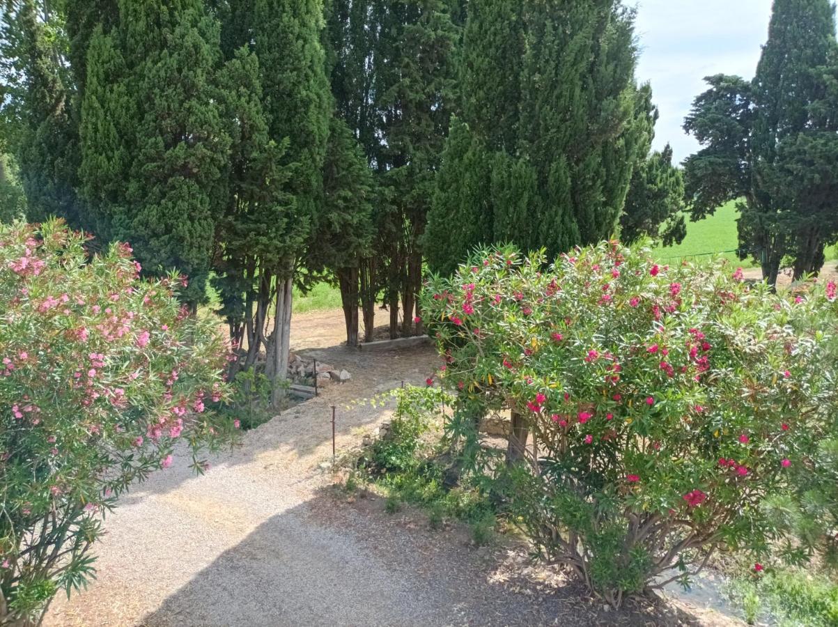 Domaine Le Piboul Fontcouverte (Aude) Exterior foto